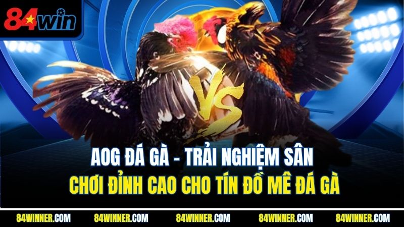 AOG Đá Gà | Trải Nghiệm Sân Chơi Đỉnh Cao Cho Tín Đồ Mê Đá Gà