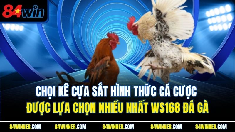 Chọi kê cựa sắt hình thức cá cược được lựa chọn nhiều nhất WS168 đá gà