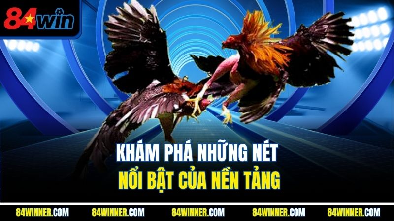 Khám phá những nét nổi bật của nền tảng