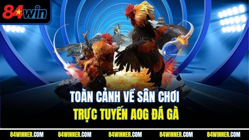 Toàn cảnh về sân chơi trực tuyến AOG đá gà