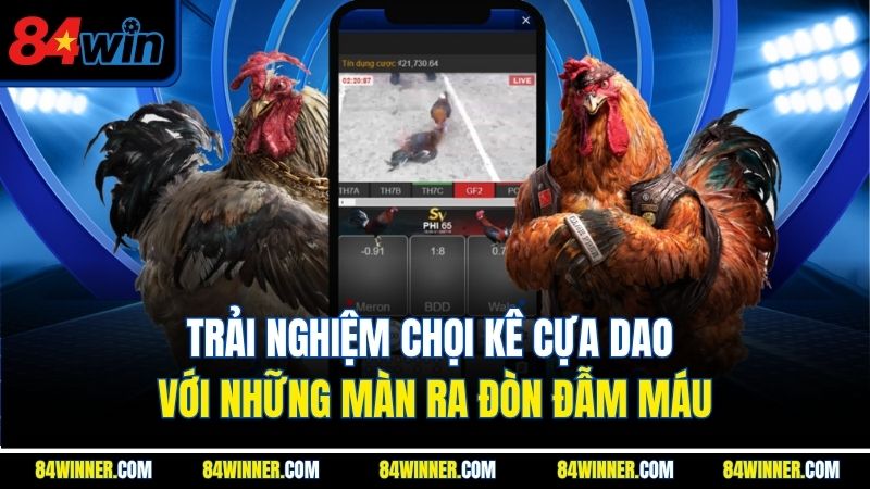 Trải nghiệm chọi kê cựa dao với những màn ra đòn đẫm máu